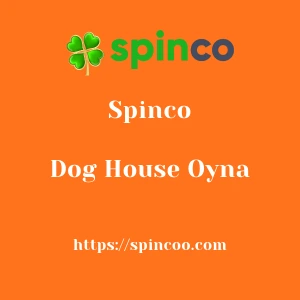 Spinco Dog House Oyna