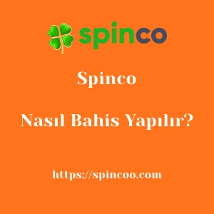 Spinco'da Nasıl Bahis Yapılır?